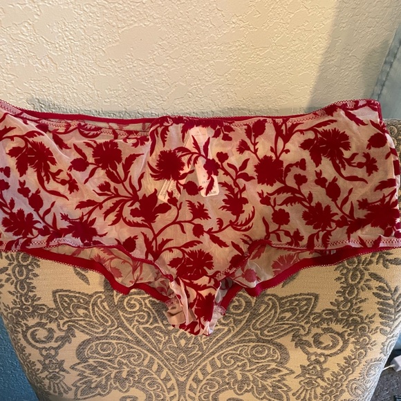 Victoria’s Secret 4 velvet flocked mesh boy short panties. NWT - Picture 8 of 9